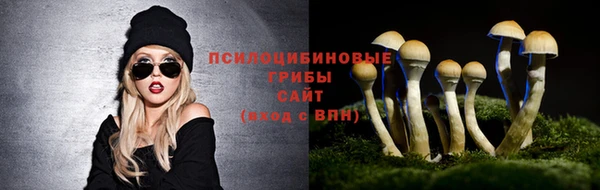 не бодяженный Абаза