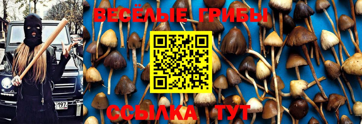 Псилоцибиновые грибы Psilocybine cubensis  Галлюциногенные грибы Magic Shrooms  Кандалакша  Вход с VPN 