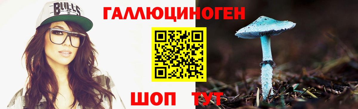 Галлюциногенные грибы мухоморы Кандалакша